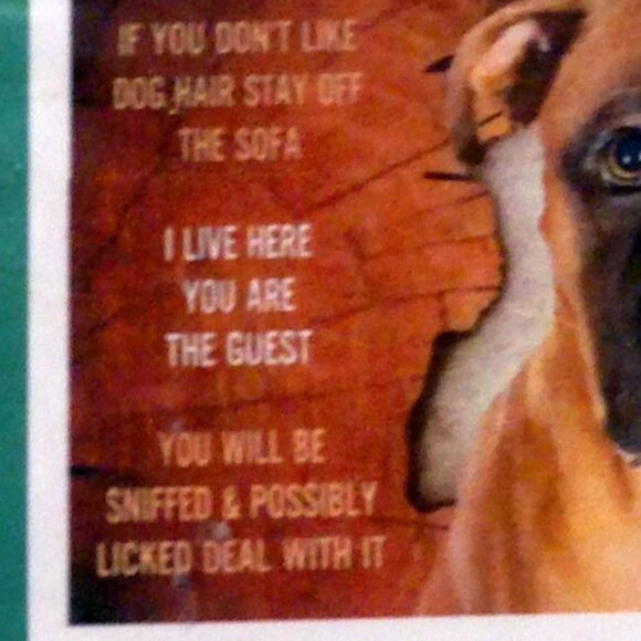 Doggie puzzle, where the dog rules the home - Picture 2 of 5